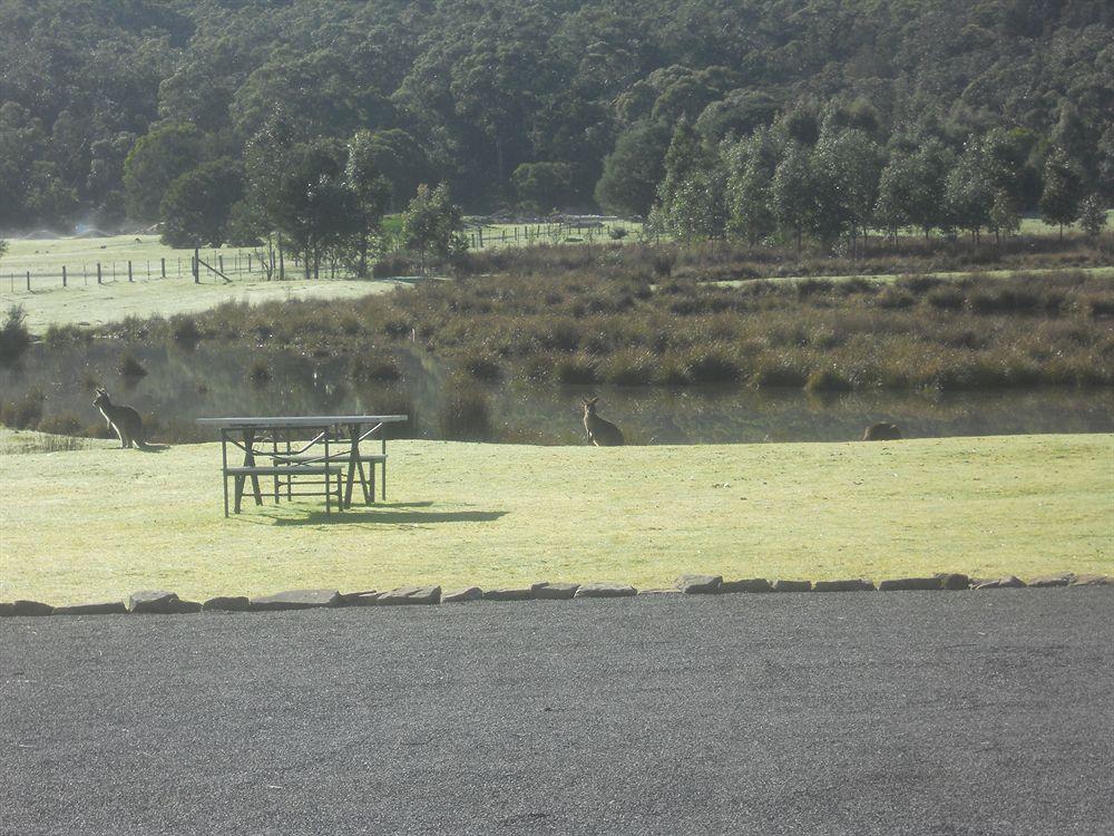 Halls Gap Motel Екстер'єр фото