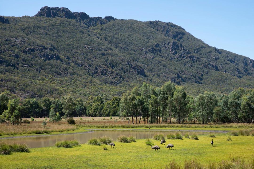 Halls Gap Motel Екстер'єр фото