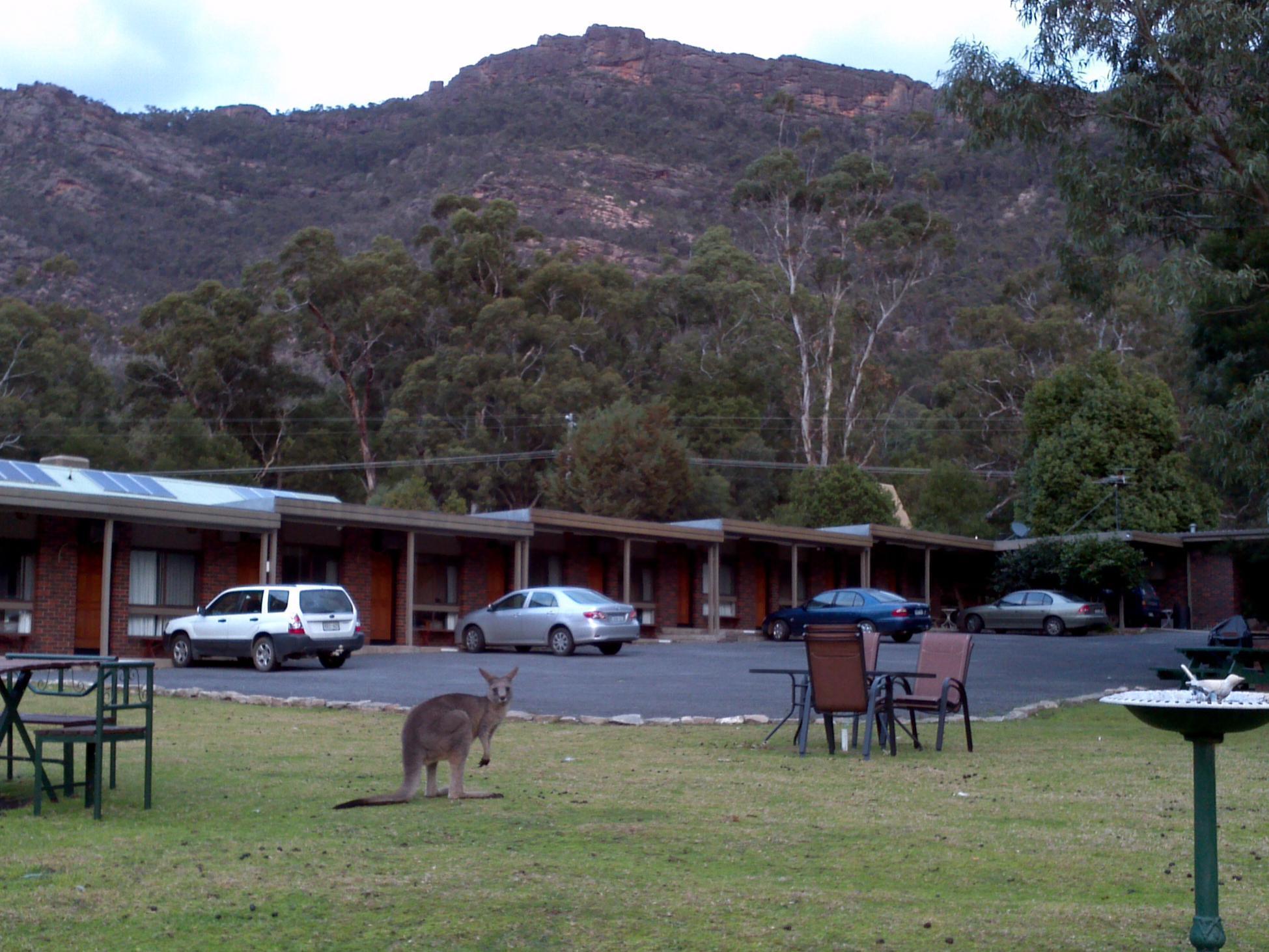 Halls Gap Motel Екстер'єр фото