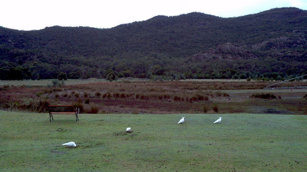 Halls Gap Motel Екстер'єр фото
