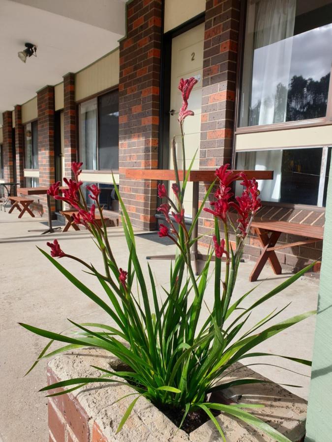 Halls Gap Motel Екстер'єр фото